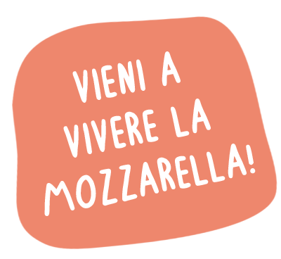 banner form