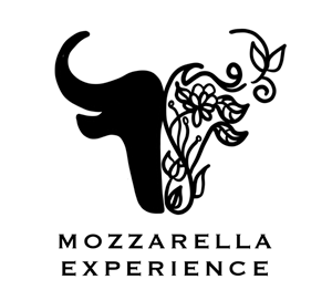 mozzarellaexperience.it
