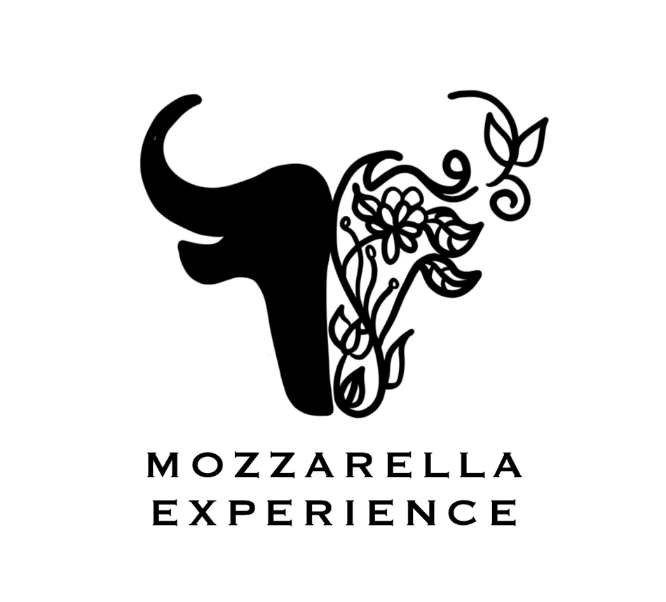 mozzarella experience