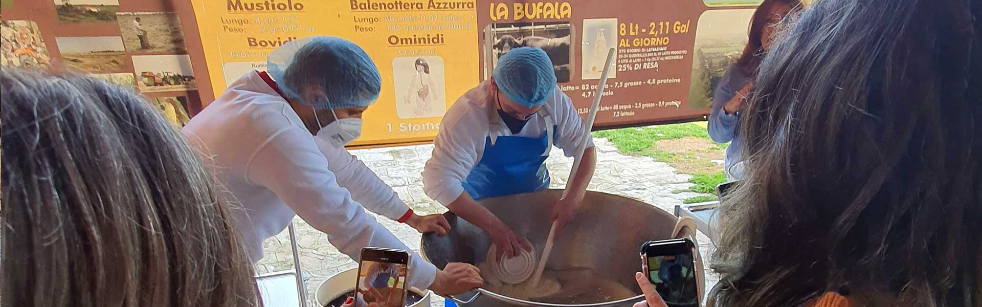 mozzarella experience, il casaro